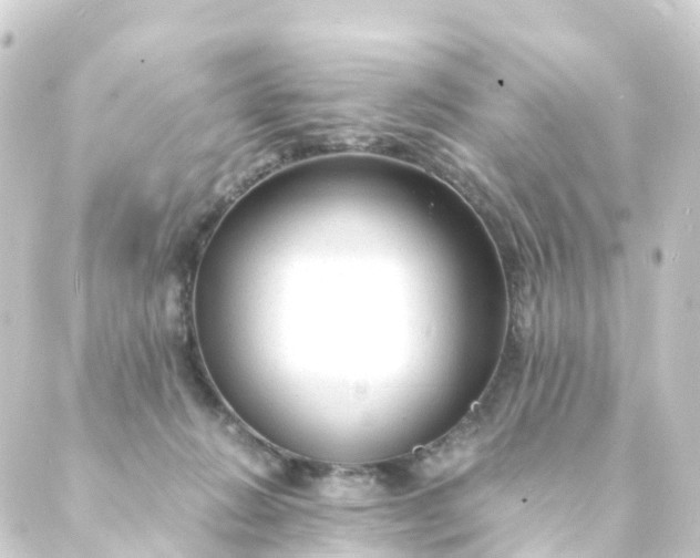 X0000088910270200706221937