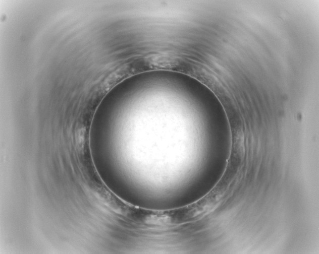 X0000088910271200706221937