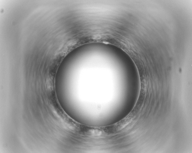 X0000088910272200706221937