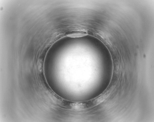 X0000088910273200706221937