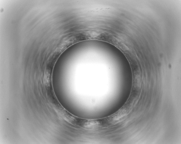 X0000088910274200706221937