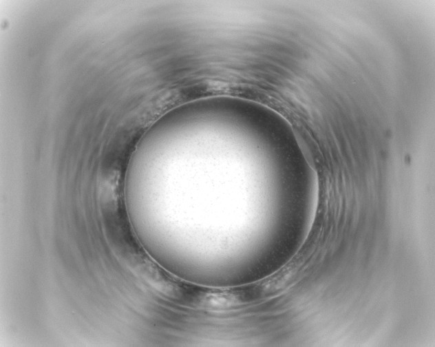 X0000088910275200706221937