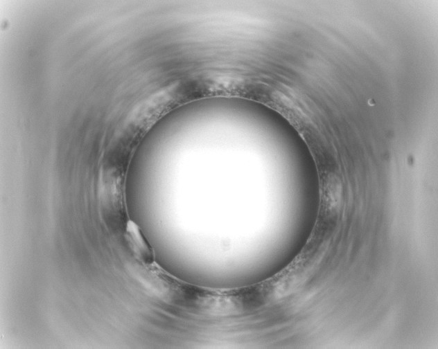 X0000088910276200706221937