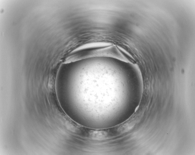 X0000088910277200706221937