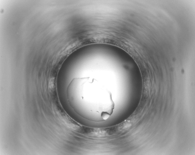 X0000088910278200706221937