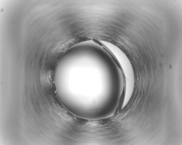 X0000088910280200706221937