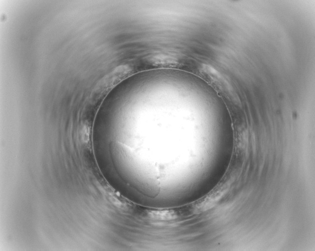 X0000088910281200706221937