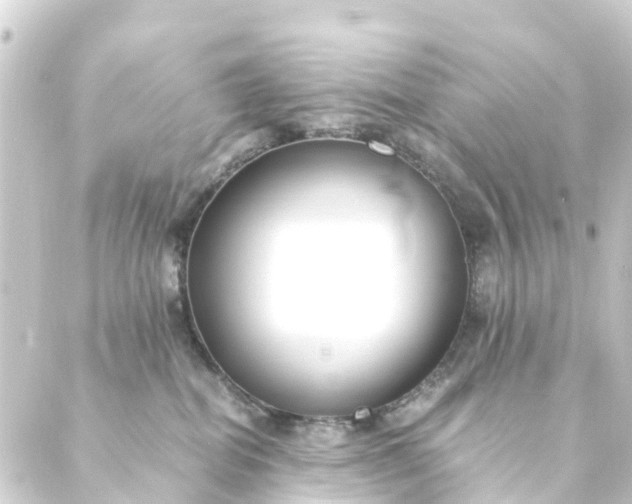 X0000088910282200706221937