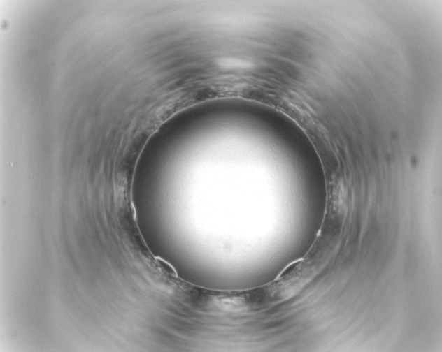 X0000088910283200706221937