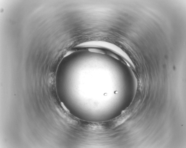 X0000088910284200706221937