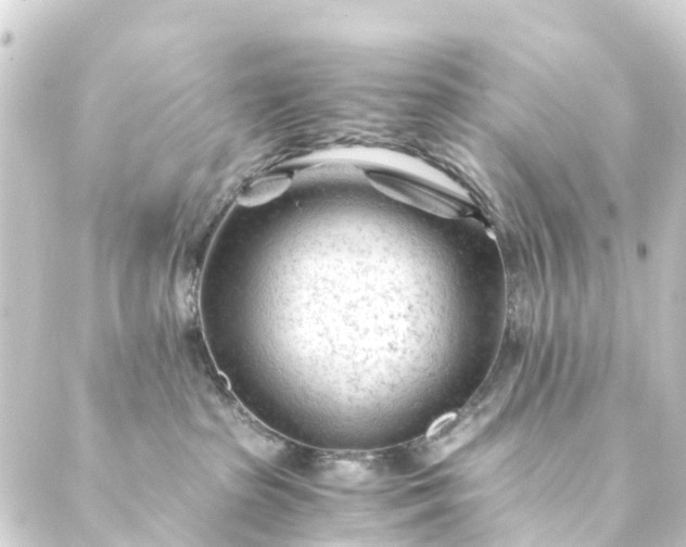 X0000088910285200706221937