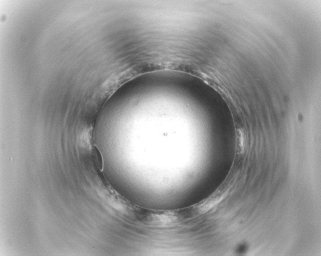 X0000088910286200706221937