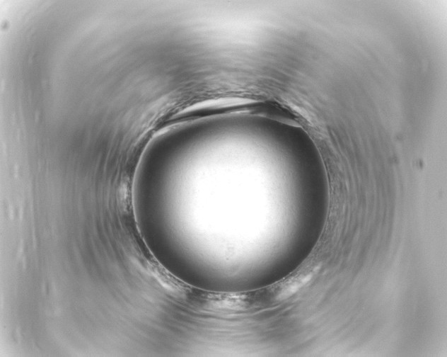 X0000088910288200706221937