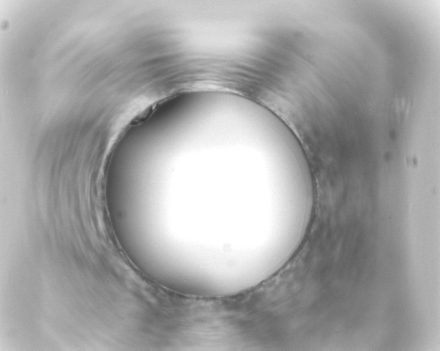 X0000088910289200706221936