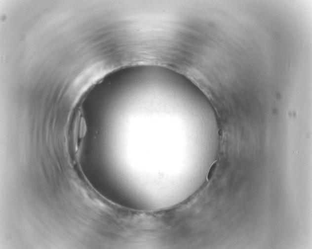 X0000088910290200706221936