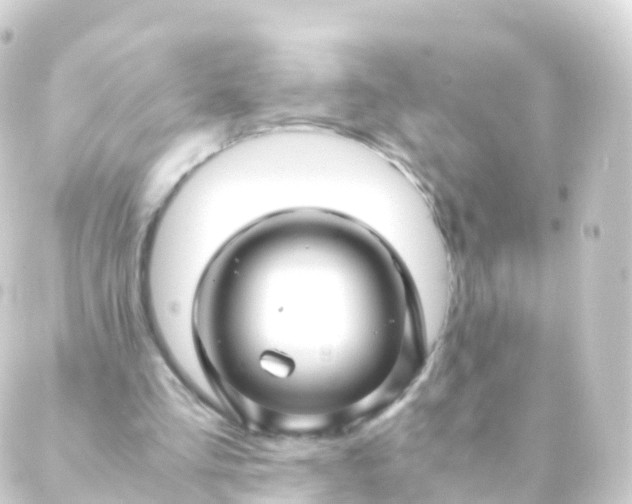 X0000088910293200706221936