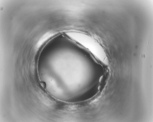 X0000088910295200706221936