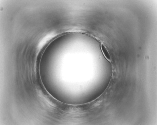 X0000088910296200706221936