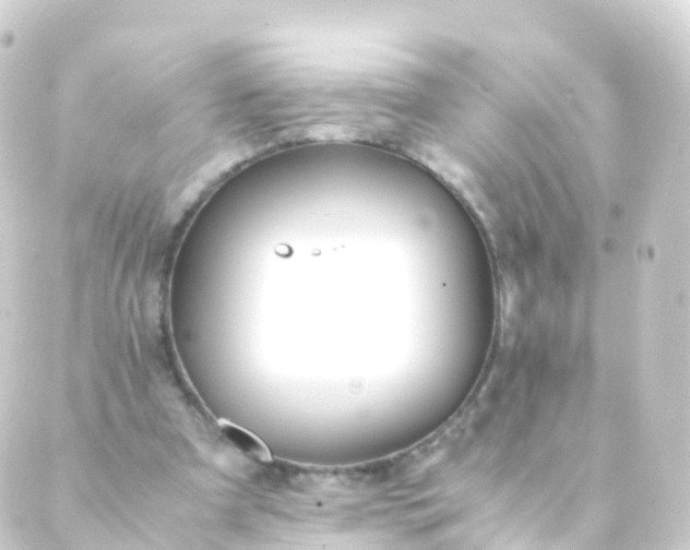 X0000088910297200706221936