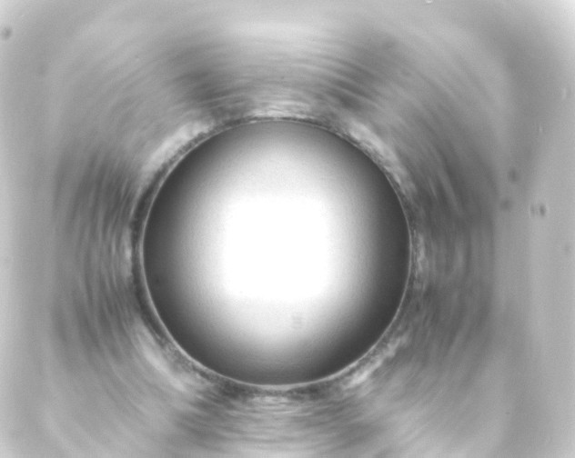 X0000088910298200706221936