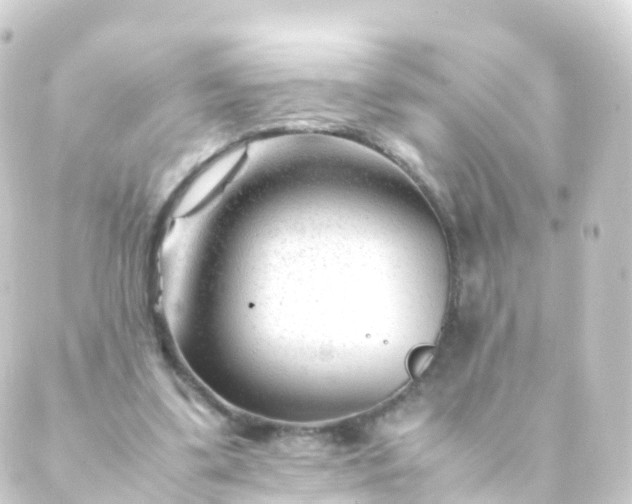 X0000088910299200706221936