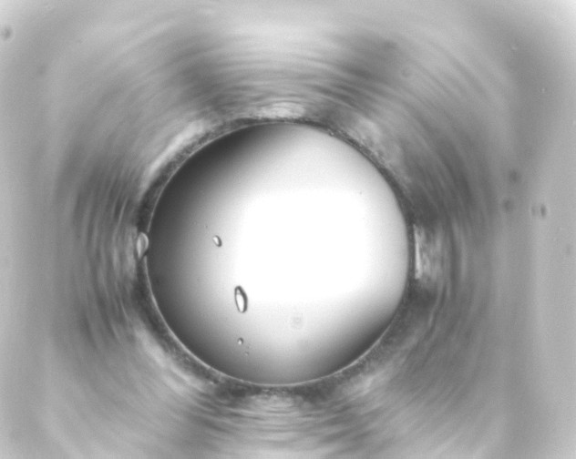 X0000088910300200706221936