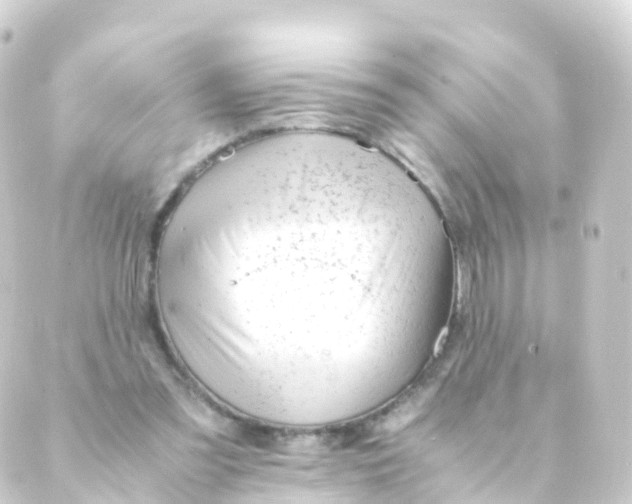 X0000088910301200706221936