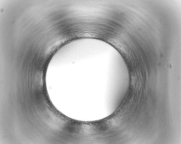 X0000088910302200706221936