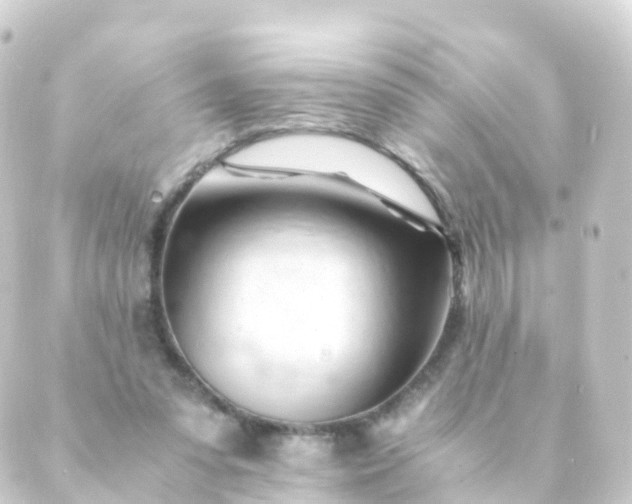 X0000088910303200706221936