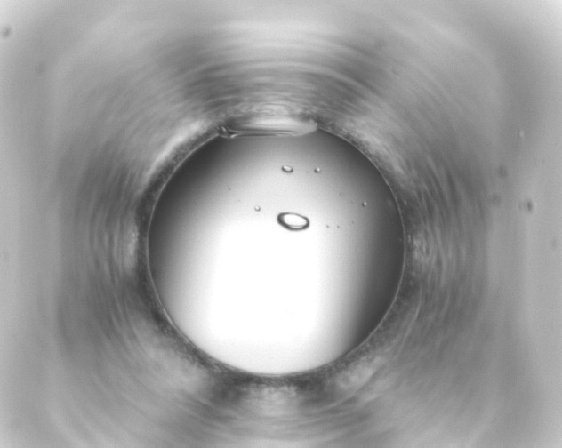 X0000088910304200706221936