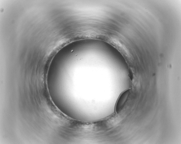 X0000088910306200706221936