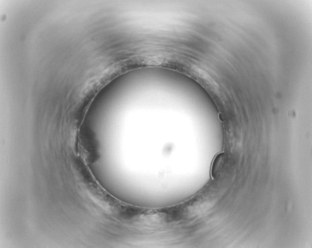 X0000088910307200706221936