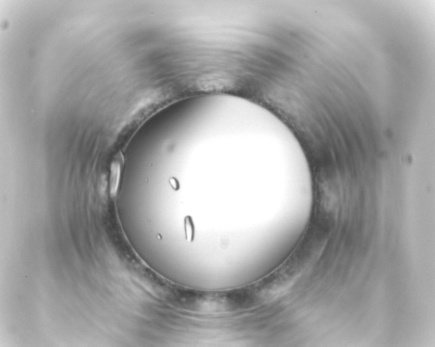 X0000088910308200706221936