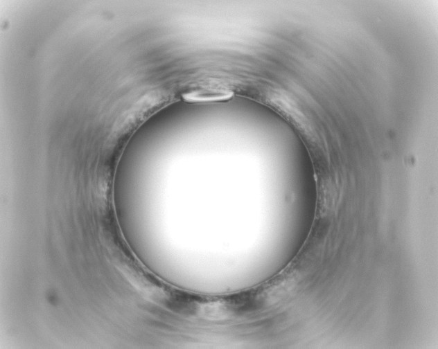 X0000088910309200706221936