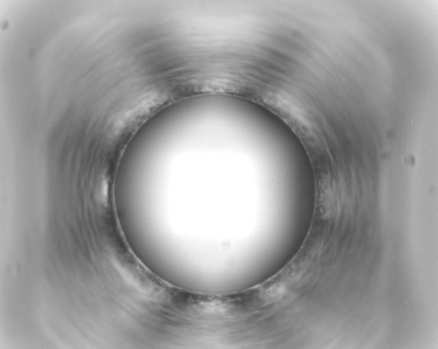 X0000088910310200706221936