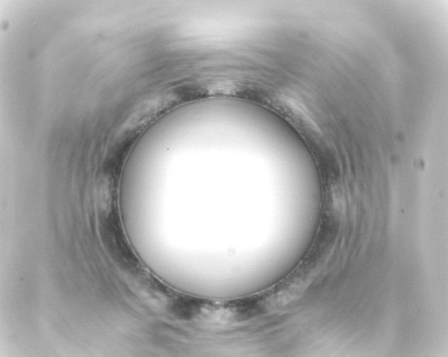 X0000088910311200706221936