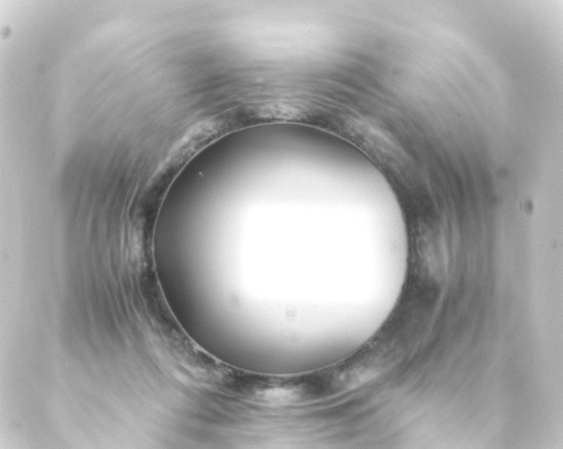 X0000088910312200706221936