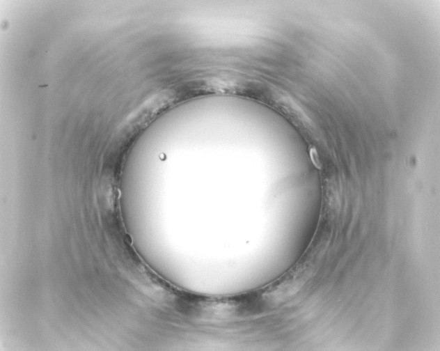 X0000088910313200706221936