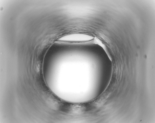 X0000088910315200706221936