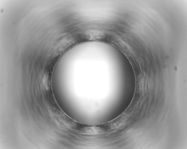 X0000088910316200706221936