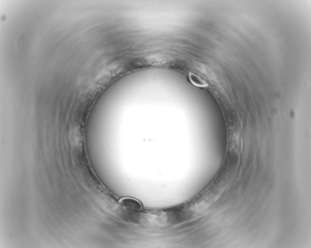 X0000088910317200706221936