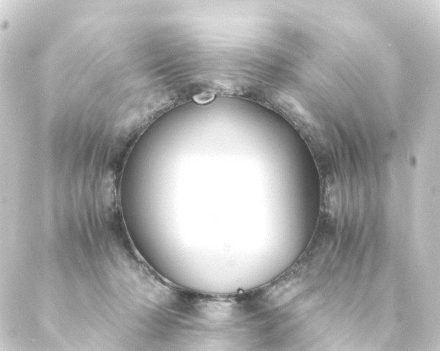 X0000088910318200706221936