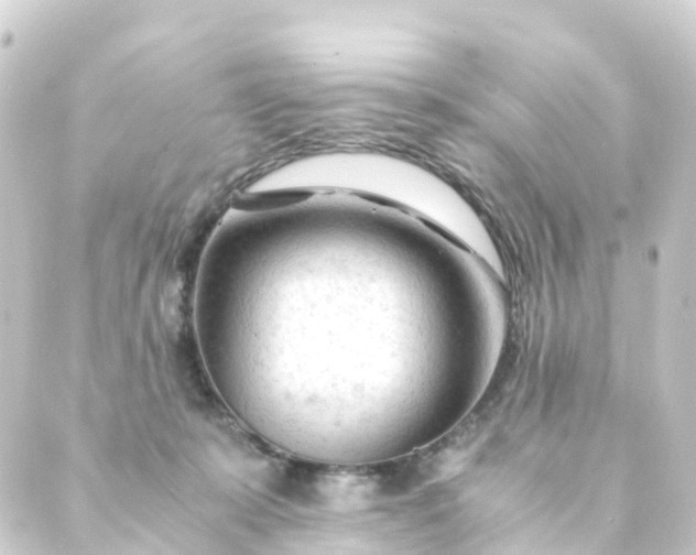 X0000088910319200706221936