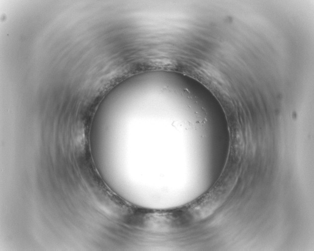 X0000088910320200706221936