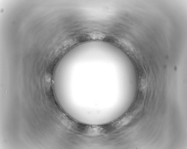 X0000088910321200706221936