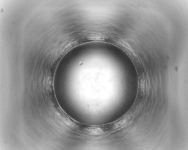 X0000088910322200706221936