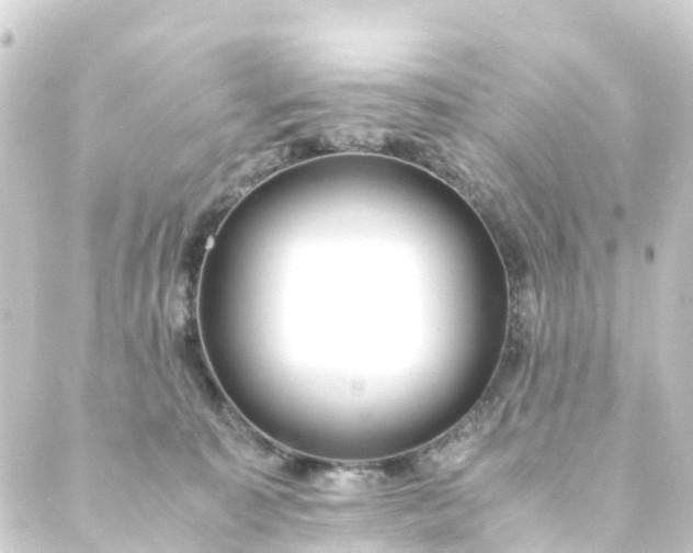 X0000088910323200706221936