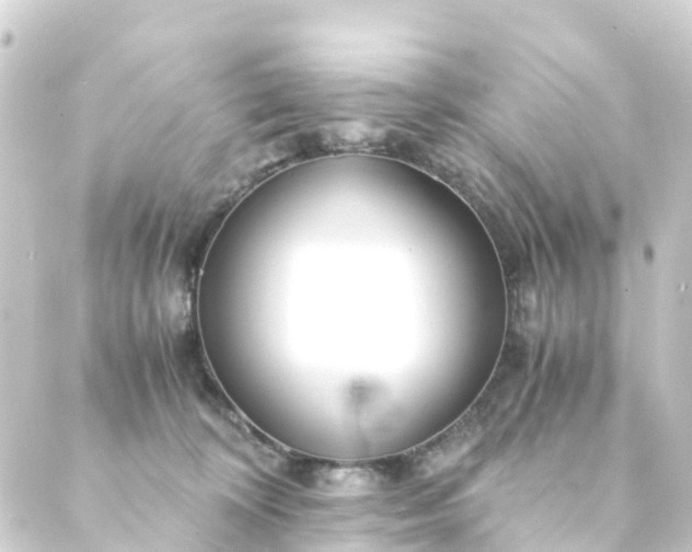 X0000088910324200706221936