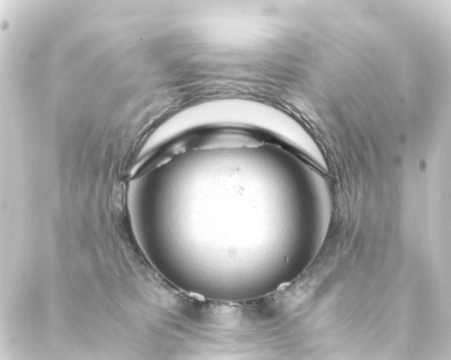 X0000088910325200706221936