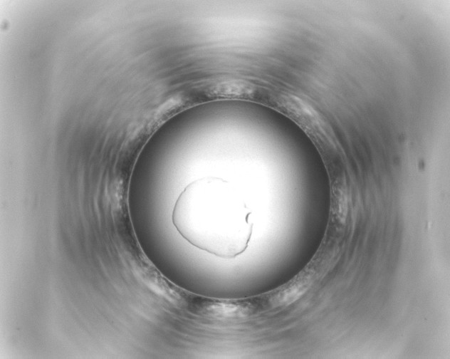 X0000088910326200706221936